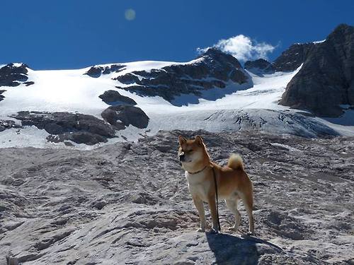 德甲青训训练中加入神经感知模块改善空间预判能力