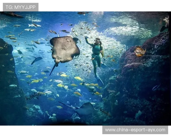 安提瓜举办个人极限运动挑战赛,安提瓜美食